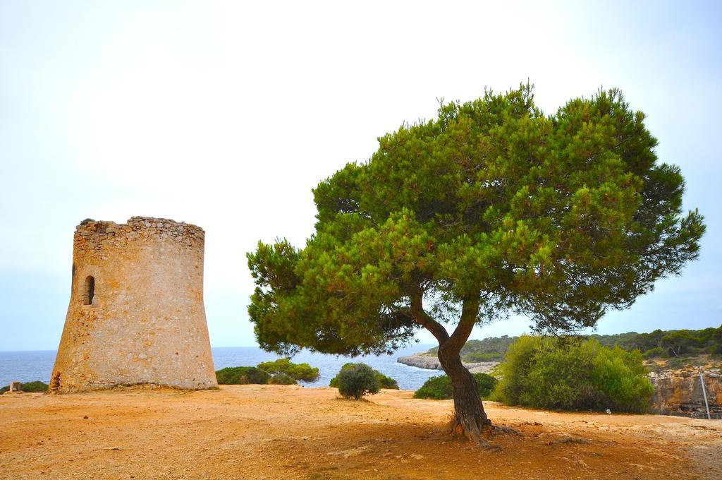 Houm Villa Cala Pi Cala Pi  Rum bild